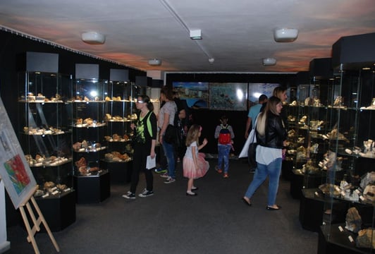 Noc Muzeów 2026 Oddział Muzeum Mineralogicznego Uniwersytetu Wrocławskiego im. K.Maślankiewicza