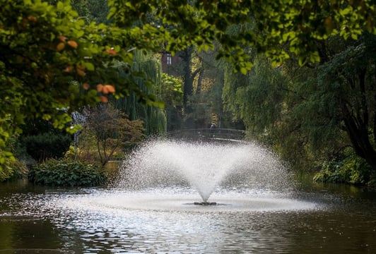 Ogród Botaniczny Wrocław