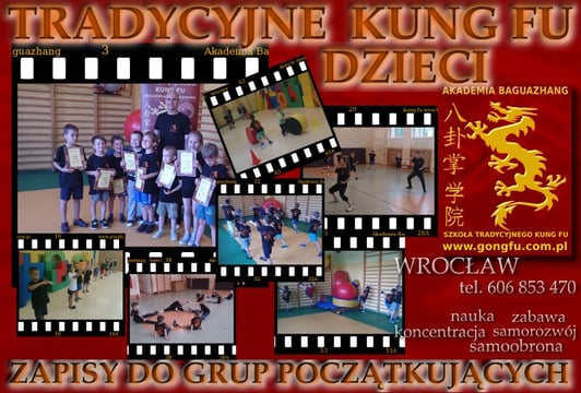 Akademia Baguazhang - Szkoła Trdycyjnego Kung Fu | Wrocław