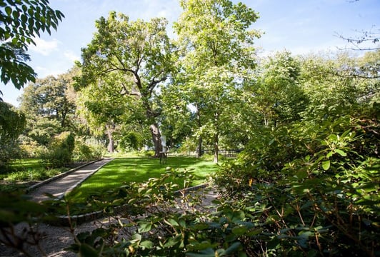 Ogród Botaniczny Wrocław