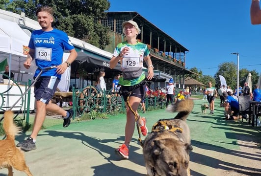 4 Bieg charytatywny ZPF RUN dla Fundacji Pomocy Zwierzętom MATUZALKI