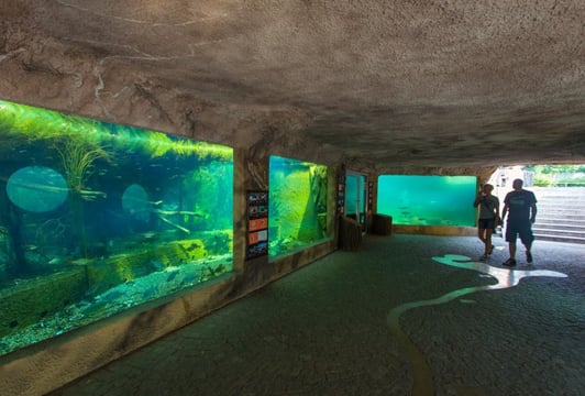Zoo Wrocław