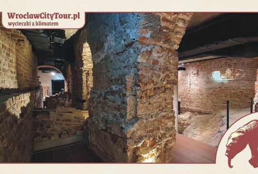Wrocław - zapomniany zamek księcia Henryka
