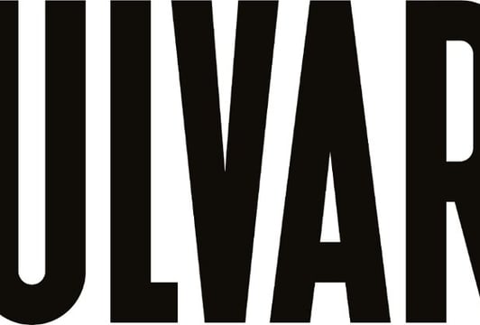 BULVARY Day