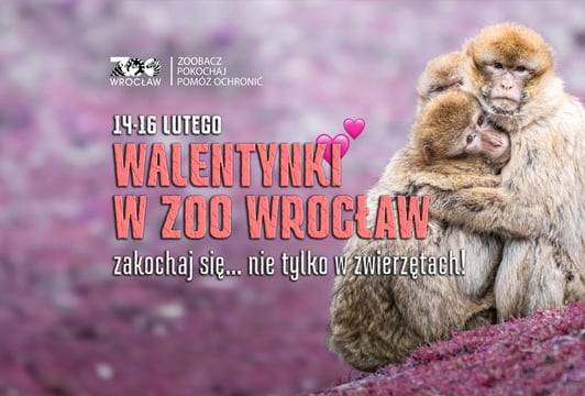 Walentynki w ZOO Wrocław