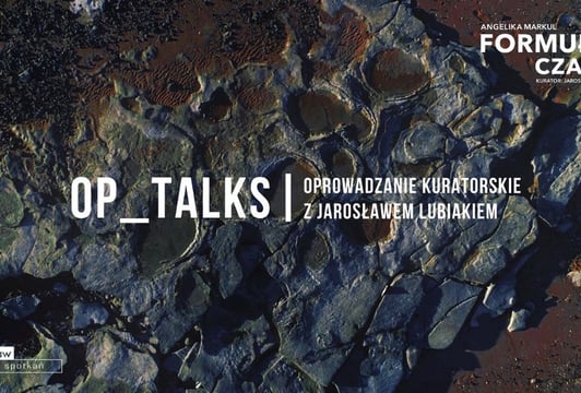 OP_Talks | Oprowadzanie kuratorskie z Jarosławem Lubiakiem