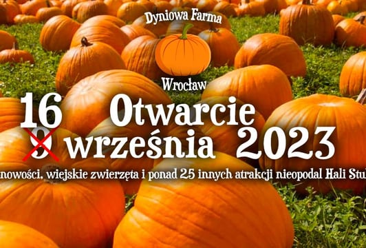 Dyniowa Farma we Wrocławiu