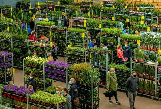 Festiwal Roślin we Wrocławiu – wielki market roślin