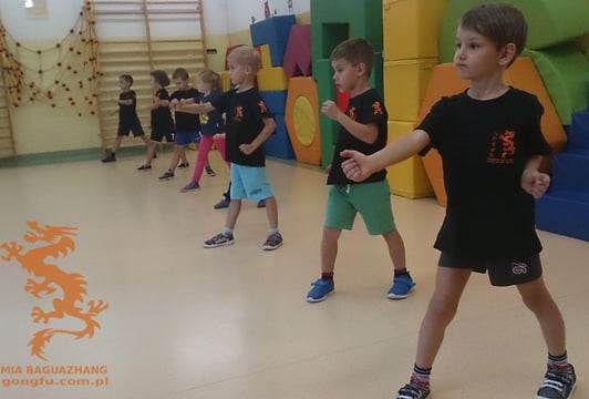 Akademia Baguazhang - Szkoła Trdycyjnego Kung Fu | Wrocław