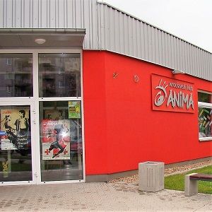 Wrocławski Klub Anima