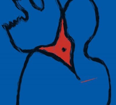 „Atlas ptaków” – prapremiera spektaklu