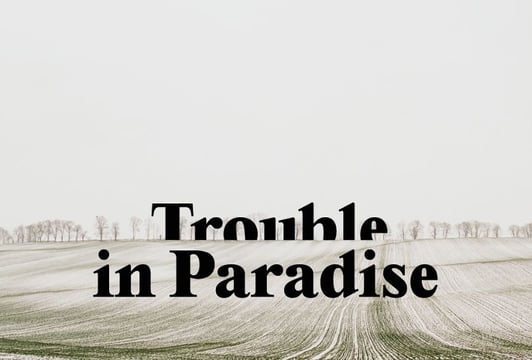 Wystawa: Trouble in paradise