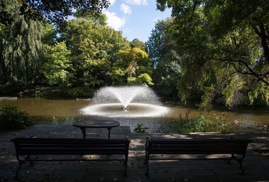 Ogród Botaniczny Wrocław