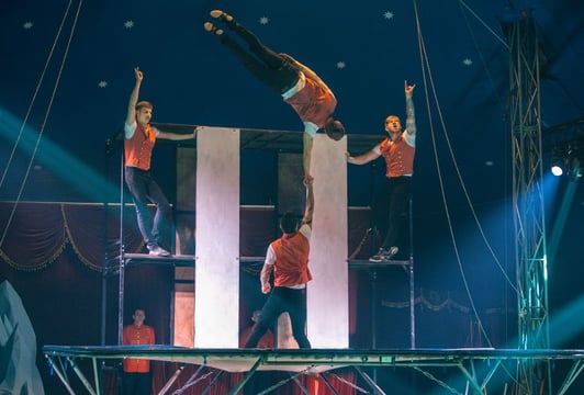 Widowisko cyrkowe „Circus Melody”