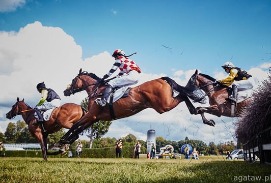 Piąty dzień wyścigowy 2026 - Ladies Day