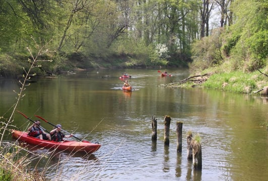 Spływ kajakowy rzeką Widawą z KayakTours.pl