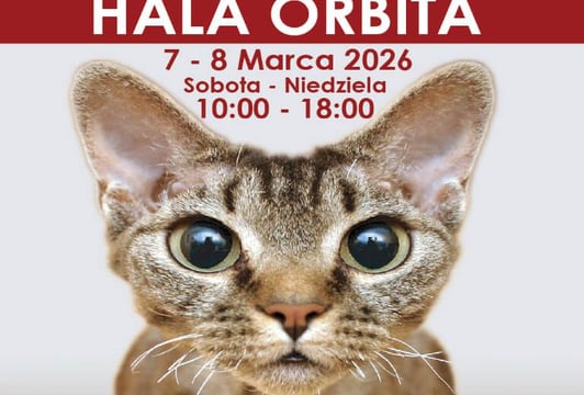 Wystawa kotów w Hali Orobita
