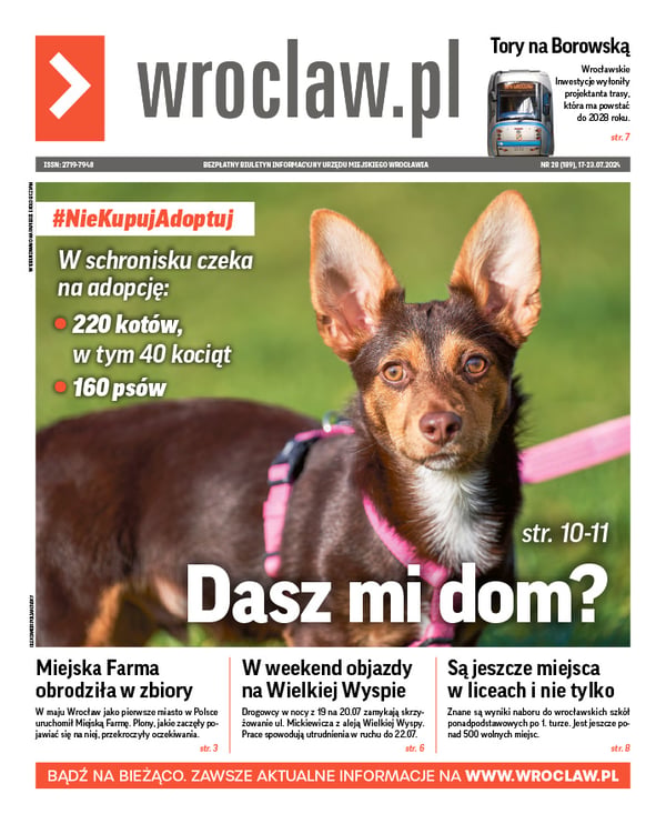 Zdjecie okładki biuletynu - Pies z wrocławskiego schroniska czekający na adopcję