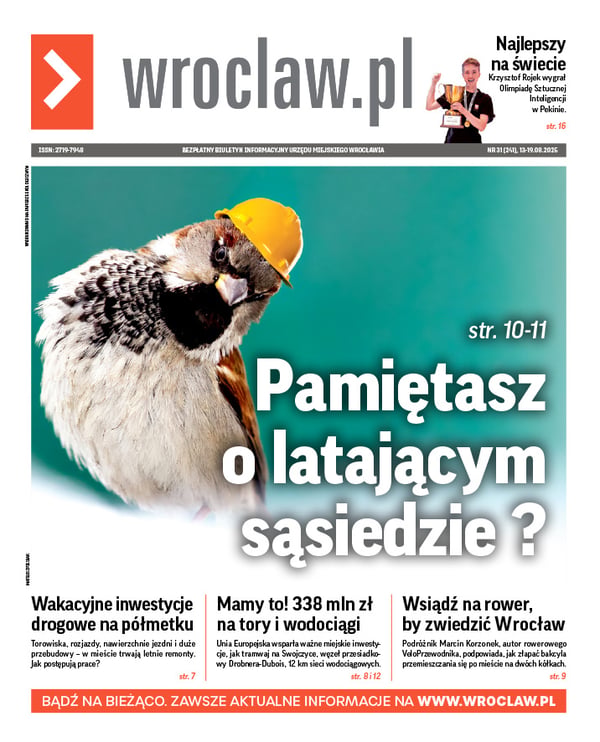 Zdjecie okładki biuletynu - Ptak mazurek w żółtym kasku budowlanym patrzy prosto do obiektywu