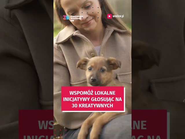 Wideo - Wspomóż lokalne inicjatywy głosując na 30 Kreatywnych Wrocławia #wroclaw