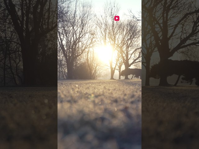 Wideo - Mróz wrócił do Wrocławia. Obrzeża miasta o świcie #wroclaw #meteo