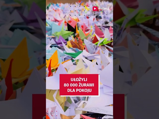 Wideo - Ułożyli 80 tysięcy żurawi origami na pl. Wolności. Jaki był cel? #wroclaw