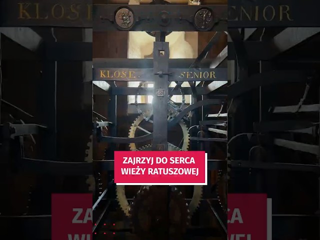 Wideo - Zajrzyj z nami do serca wieży Ratusza #wroclaw