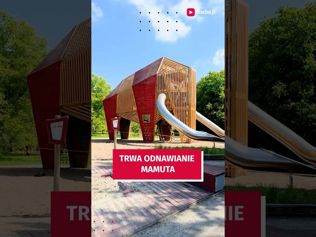 Wideo - Już widać jak będzie wyglądał odmalowany Mamut! #wroclaw