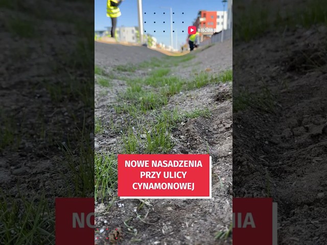 Wideo - Więcej drzew na Lipie Piotrowskiej #wroclaw