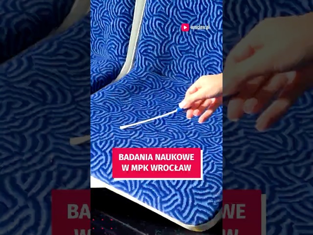 Wideo - Pasażerowie na gapę? Studenci poszukają drobnoustrojów w tramwajach i autobusach!