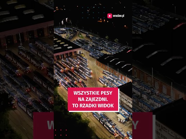 Wideo - Tramwaje Pesa w komplecie na zajezdni. Taki widok to rzadkość! #wroclaw