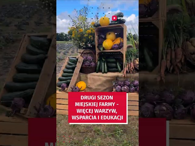 Wideo - To jedyne takie miejsce w Polsce!  Miejska Farma #wroclaw