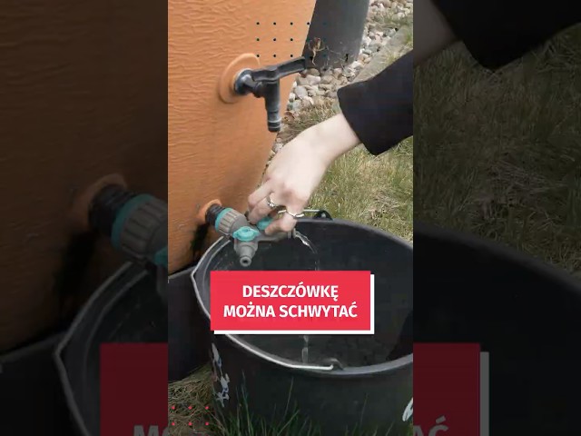 Wideo - Złap deszcz i wykorzystaj go w domu! Miasto Ci w tym pomoże, złóż wniosek o dofinansowanie #wrocław