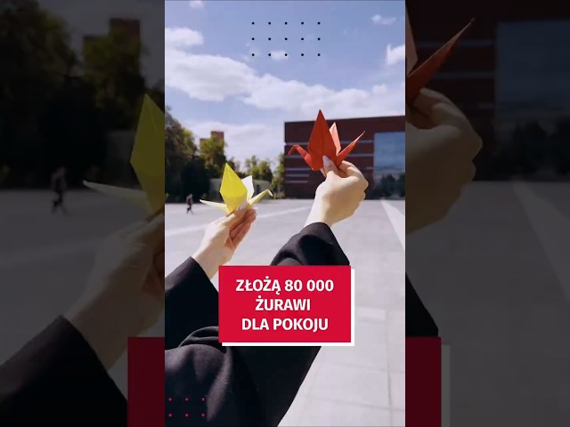 Wideo - Złożą 80 000 żurawi dla pokoju. Przyjdź to zobaczyć!  #wroclaw