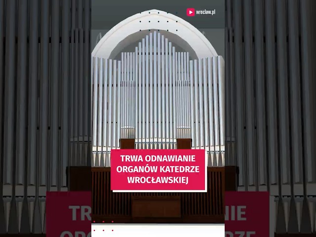 Wideo - Zagrają jak dawniej! Trwa remont organów we wrocławskiej Katedrze #wroclaw