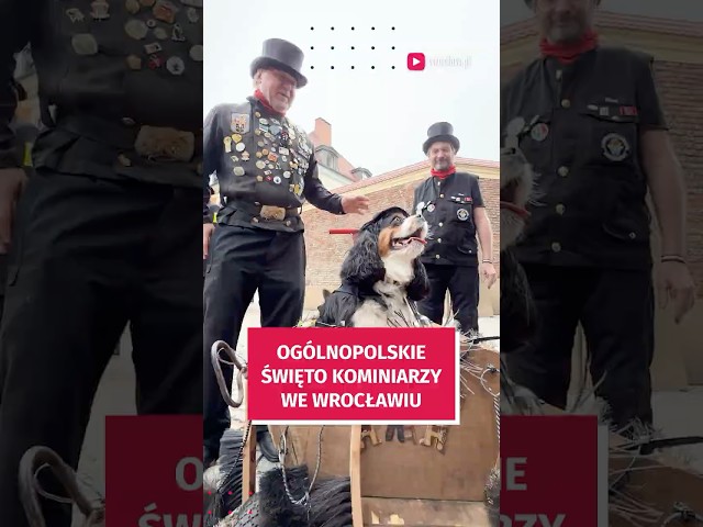 Wideo - Chwytajcie guziki! 400 kominiarzy przeszło ulicami Wrocławia #wroclaw