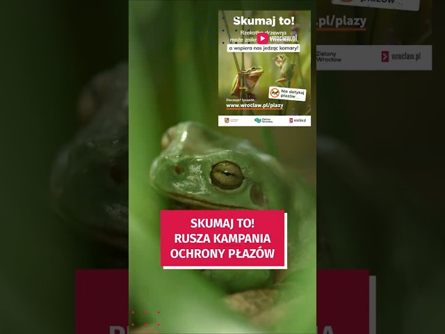 Wideo - SKUMAJ TO! Ruszyła kampania ochrony płazów! #wroclaw