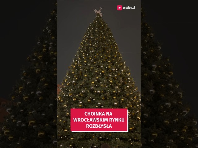 Wideo - Choinka na wrocławskim Rynku już świeci!  Zobaczcie ten moment #wroclaw #choinka