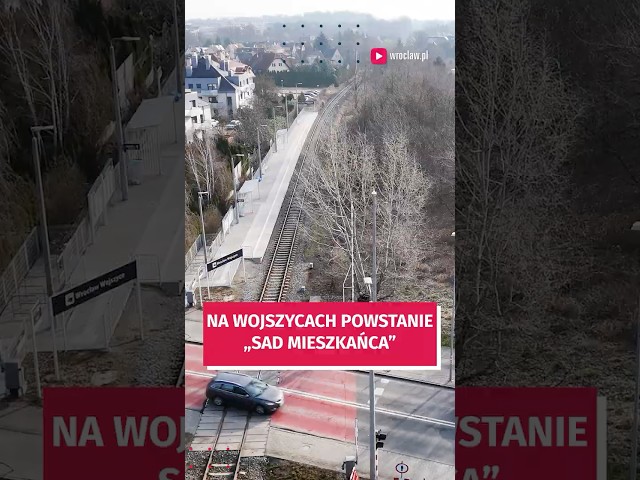 Wideo - Niewielki sad oraz trasa pieszo-rowerowa powstanie na Wojszycach. To projekt z WBO