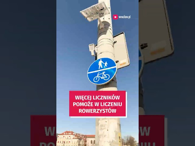 Wideo - Miasto liczy rowerzystów! Zobacz, gdzie są nowe liczniki rowerowe #wroclaw