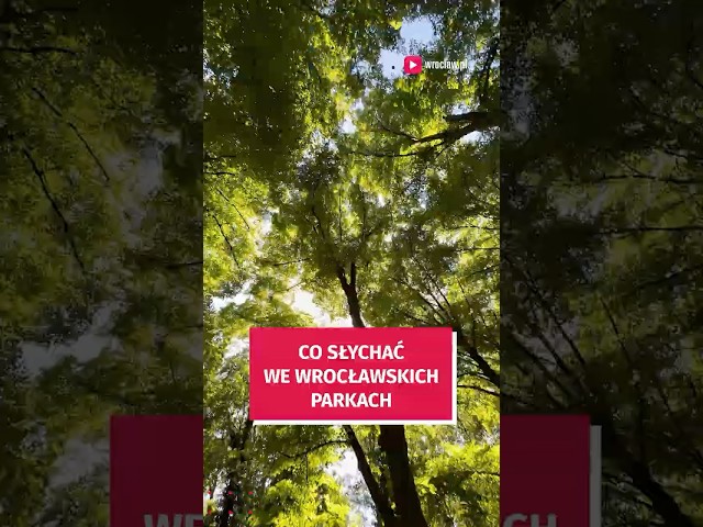 Wideo - Ale koncert! Sprawdź co słychać we wrocławskich parkach!? #wroclaw #podróże