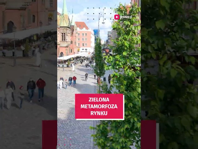 Wideo - Wrocławski Rynek się zmienił! Musicie to zobaczyć #wroclaw