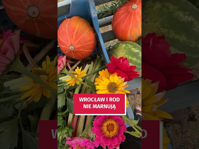 Wideo - Zobacz jak możesz podzielić się nadwyżkami upraw! #wroclaw