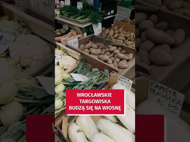 Wideo - Rusza sezon na wrocławskich targowiskach. Jest mnóstwo atrakcji!