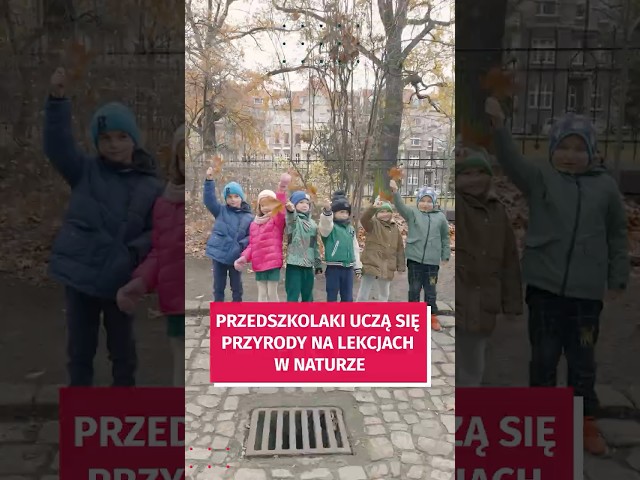 Wideo - Lekcje przyrody w plenerze. Przedszkolaki to uwielbiają! #wroclaw