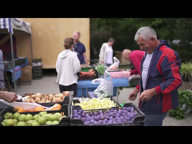 Wideo - Co rośnie w mieście – krótki dokument o suwerenności żywnościowej