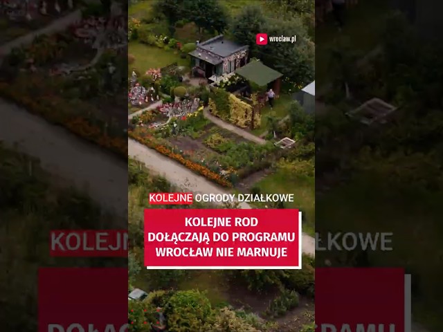Wideo - Dzielą się plonami, ale nie tylko. Kolejne ogrody działkowe w akcji "Wrocław nie marnuje"! #wroclaw