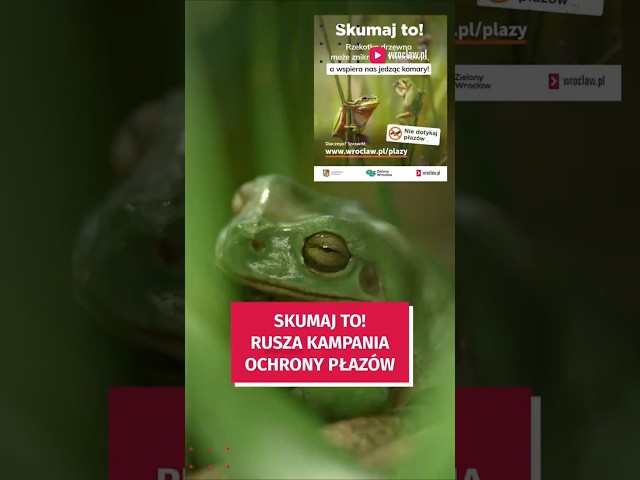 Wideo - SKUMAJ TO! Ruszyła kampania ochrony płazów! #wroclaw