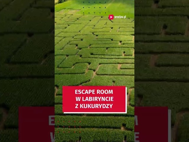 Wideo - Escape room w ogromnym labiryncie z kukurydzy #wroclaw #zabawa