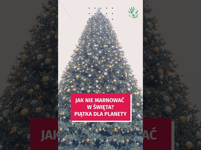 Wideo - Jak nie marnować jedzenia w święta? Mamy kilka podpowiedzi  #wroclaw